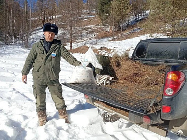 ���������� ���������������� ������������� ������ ��������