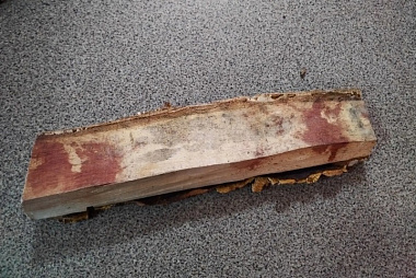 ������ ������� ���� �� ���� �������� �������