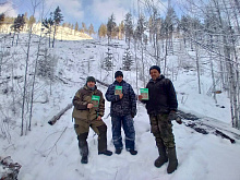 ������� ������� ���������� �������� ����� � ����������� ���