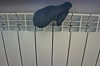 ������� ��������� ������� ��� �����