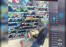 Житель Улан-Удэ тайно укатил из магазина тележку с продуктами