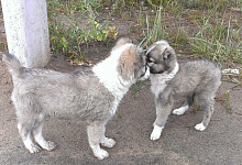 ������ ������ ������ ����� �����һ��ү� ����������� ��� ������үү��� ����� ���������