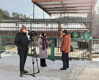 � ��������������� ����� � ����-��� ������������ ���������� �������