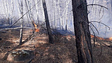 В Тункинском нацпарке тушили 4 лесных пожара
