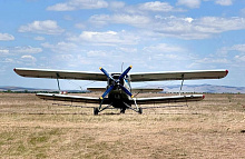 Тайгу Бурятии с воздуха избавят от вредителей