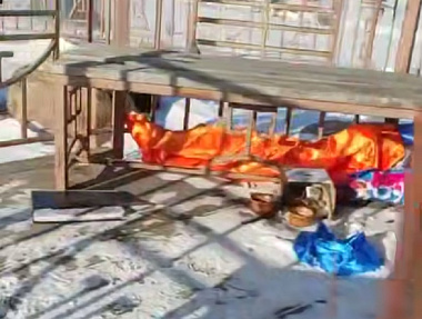 ��� ������� � ����: �������� �������� ����� ���� ����� �� ������ �����