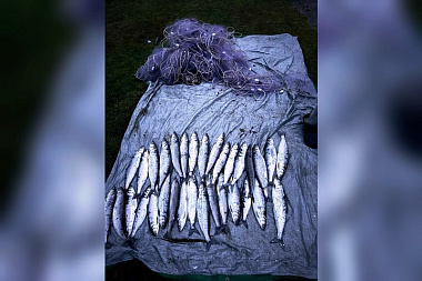 На Байкале поймали браконьера с омулем