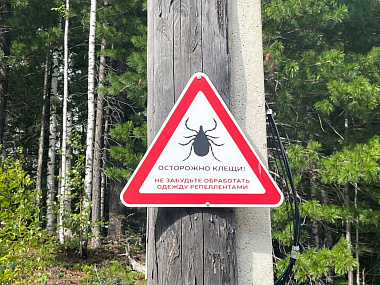 � ������� ��������� ������ ���������� ������