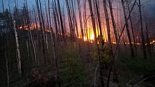 В Бурятии локализовали сложный лесной пожар в горах