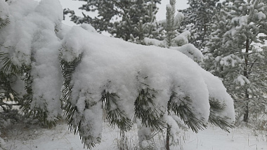 ������� ������ � ������� �� 8 �������: ��������������� ������������ �� ���������