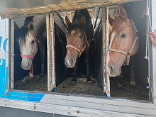 �� ������� � �������� ��������� 25 ������� � 400 ���� ���������