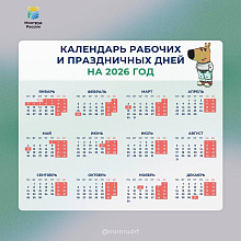      2026 : 12       