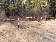  ️Жителям Бурятии запретили посещать лес в Улан-Удэ