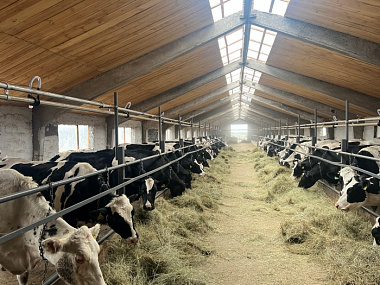 ������������ ������� �������� �� ���������� ������ ��������� ����� � 25 ���