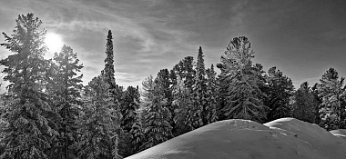 � ������� ������� ���� �� ���� ��� ������� ������ � �������� ��������