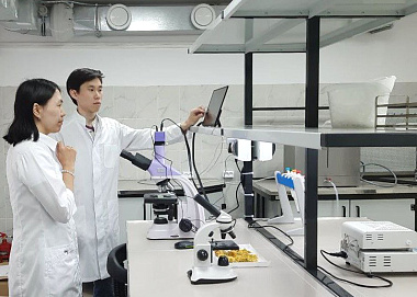 ����������� ������������� ���� ��������� ��������������� ������ ������������ 