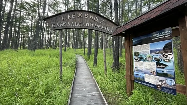 На Байкале временно закроют тропу к нерпам
