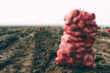 ��������� � ������� ������� ����������� ��� �������� 