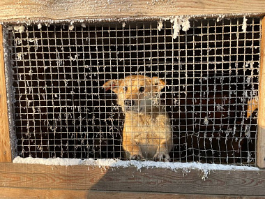 ����� ������ ������ � �����: � ������������� ���������� � �������� � ���������� ��������