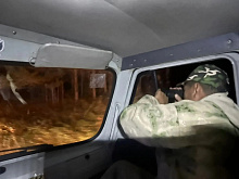 В Тункинском нацпарке в Бурятии разрешили отстрел медведей