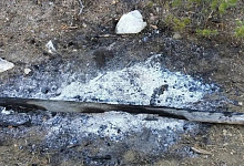 В Бурятии ищут виновника лесного пожара в Баргузинском районе