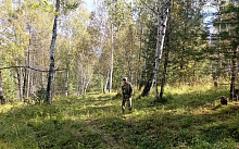 В Тунке инспекторы нацпарка следят за ситуацией с медведями