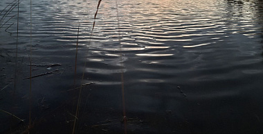 Откроется ли Ильинская переправа: вопрос на сессии Хурала поднял депутат Сергей Мезенин