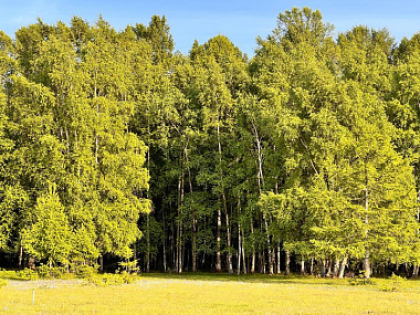 Особый противопожарный режим хотят ввести в Бурятии с апреля 