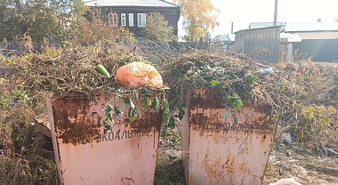 «ЭкоАльянс» просит жителей не выбрасывать траву и ветки в контейнеры для бытового мусора