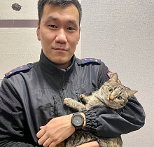 ����������� ������� � ���� ����� ���������� ������� �������� ���������� 