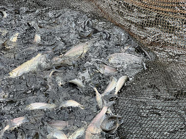 �� ������������ ���������� ������ ���������� ����� ����� ��� ���������������