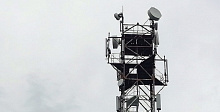 МТС усилила сеть в селе Бурятии, где наблюдают за краснокнижными птицами