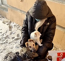 Улан-Удэнцы обсуждают бездомного с собакой и котиком