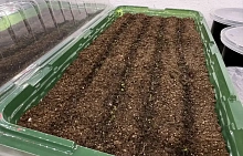 ����� ��� ����� ������ ������� ����-��� � ������ ����