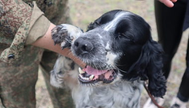 ������ � ����: � �������� ������ �������� �������� � ������������� ���������