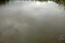 В Бурятии «черные старатели» искали нефрит и уничтожили место нереста ценных пород рыб