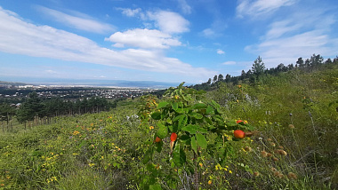 � �������� ������ ���������� �������� �� �������� ������ ����������������� � ����