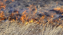 В Бурятии участились возгорания сухой травы