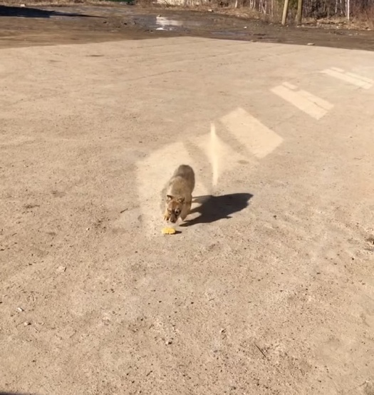 3EHyn1V5VlI.jpg 3EHyn1V5VlI.jpg