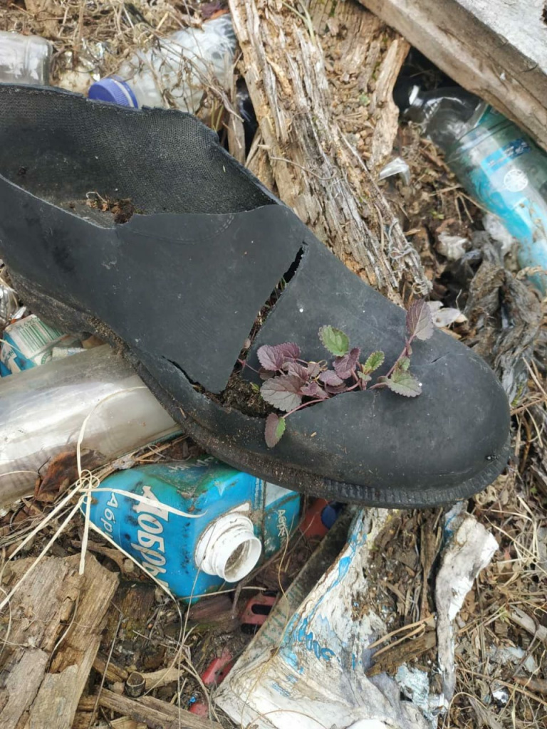 6ccc94a5-ca8c-4620-a883-e9ecb8128035.jpg 6ccc94a5-ca8c-4620-a883-e9ecb8128035.jpg