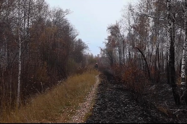 лесные пожары_Скрин с видео Добровльческого корпуса.jpg лесные пожары_Скрин с видео Добровльческого корпуса.jpg