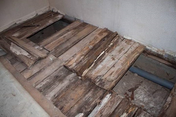 23 (1).jpg 23 (1).jpg