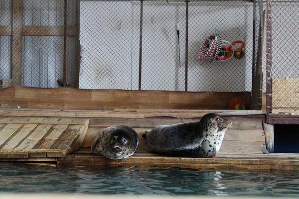 изображение_viber_2020-06-10_10-52-38.jpg изображение_viber_2020-06-10_10-52-38.jpg