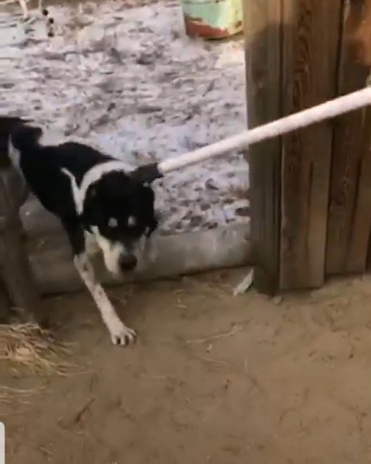 W9s8lnvMDEg.jpg W9s8lnvMDEg.jpg