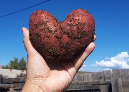 FXQosvDF_xA.jpg FXQosvDF_xA.jpg