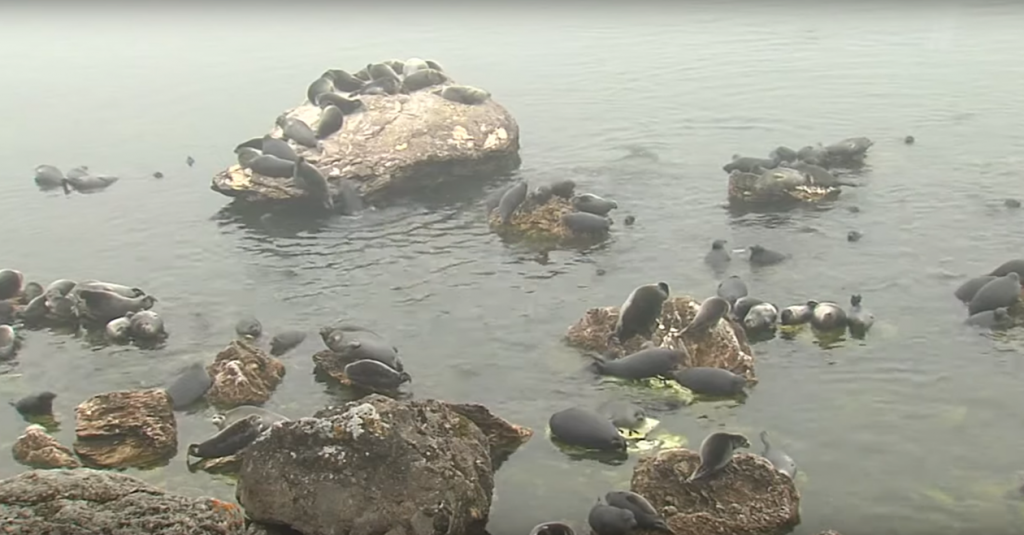 Рисунок2.png Рисунок2.png