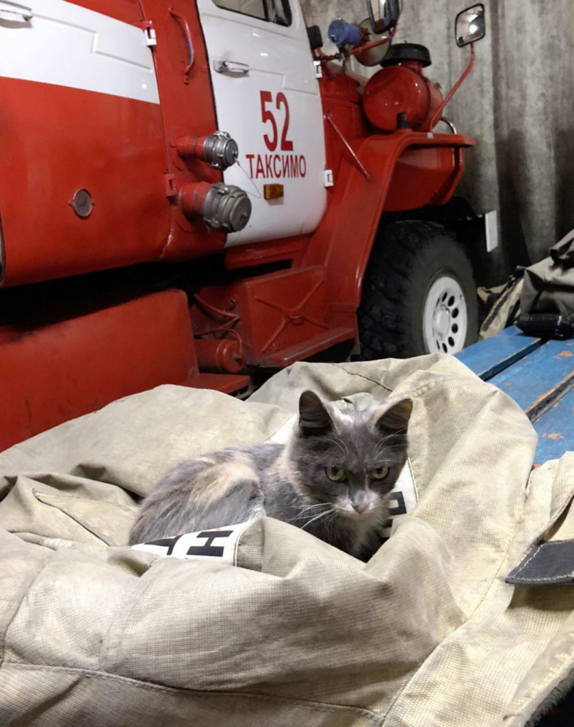 20201029_151640.jpg 20201029_151640.jpg