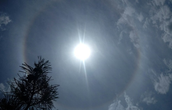 гало.jpg гало.jpg