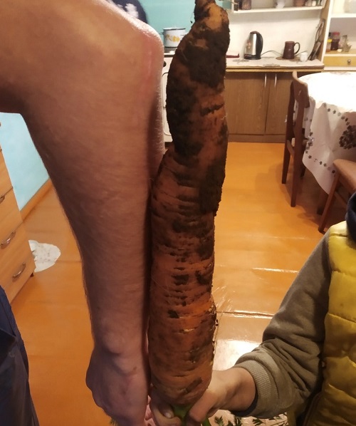 sJYDifxT-nU.jpg sJYDifxT-nU.jpg