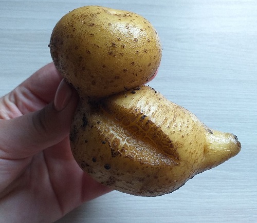 zuYQ0ymJVA8.jpg zuYQ0ymJVA8.jpg